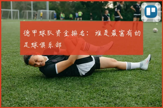 德甲球队资金排名：谁是最富有的足球俱乐部