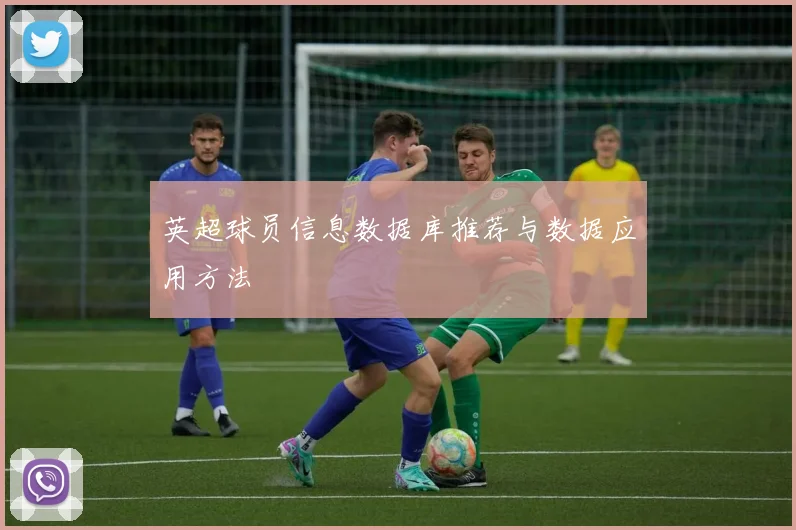 英超球员信息数据库推荐与数据应用方法